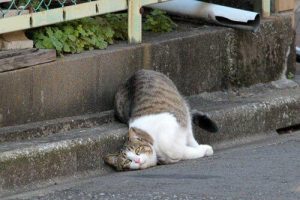 大阪　日本橋　メンズエステ