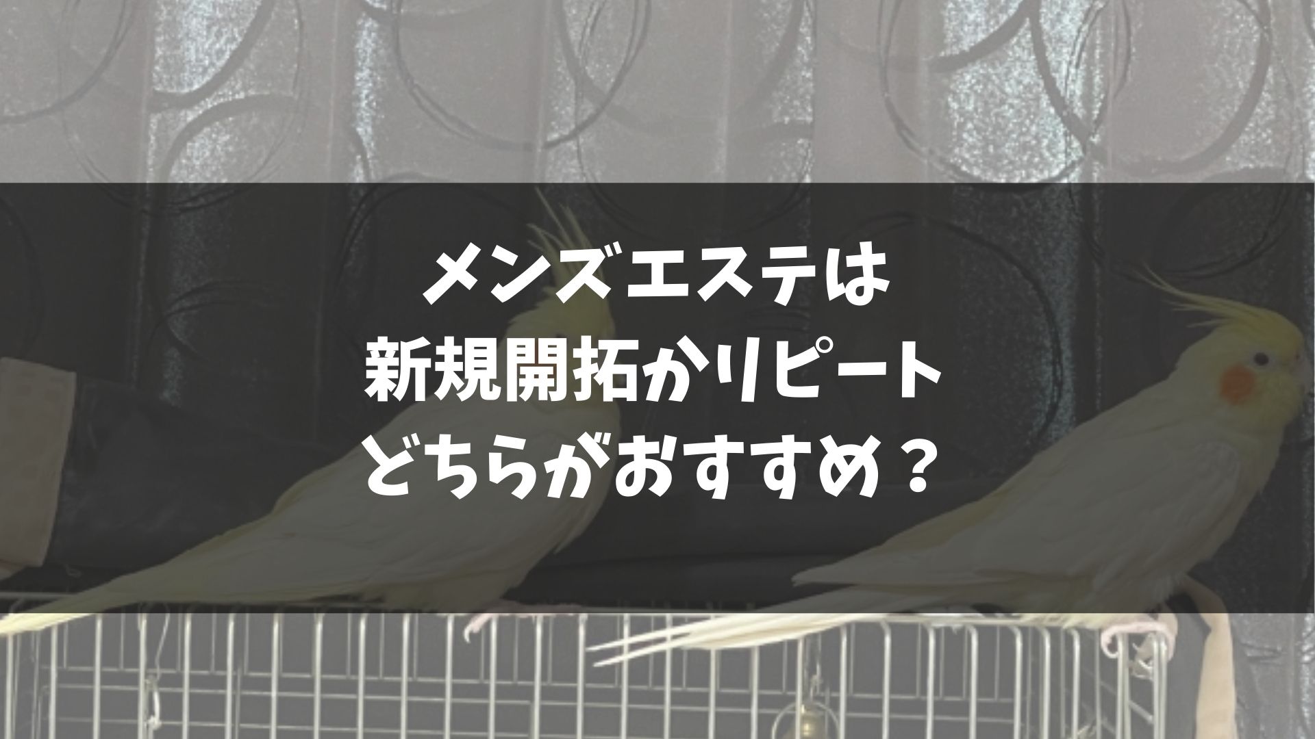 メンズエステは新規開拓かリピートどちらがおすすめ？