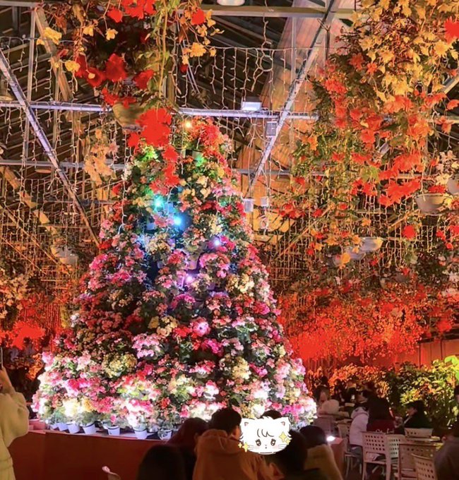 おはようございます☀️