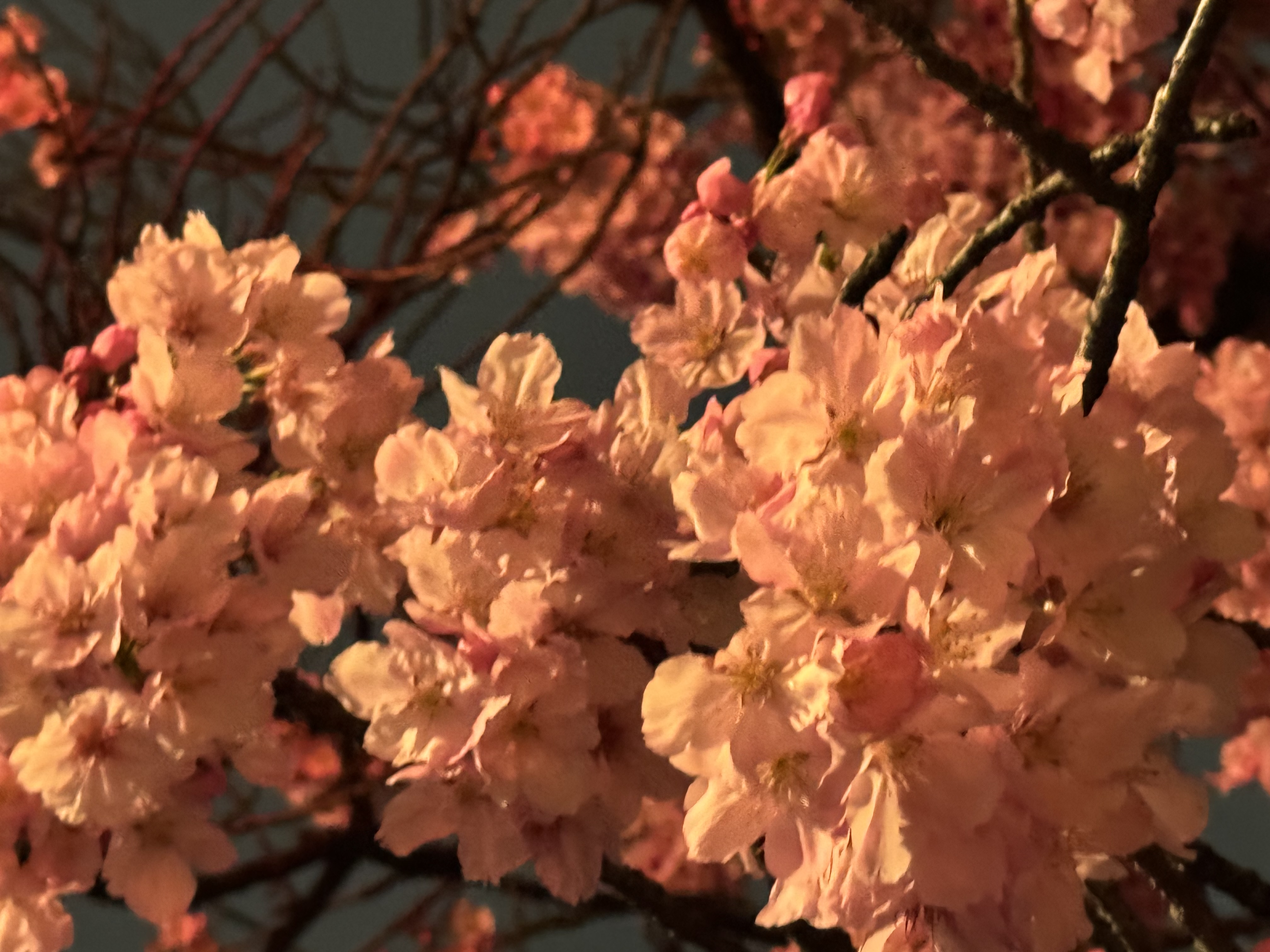 明日出勤です♡