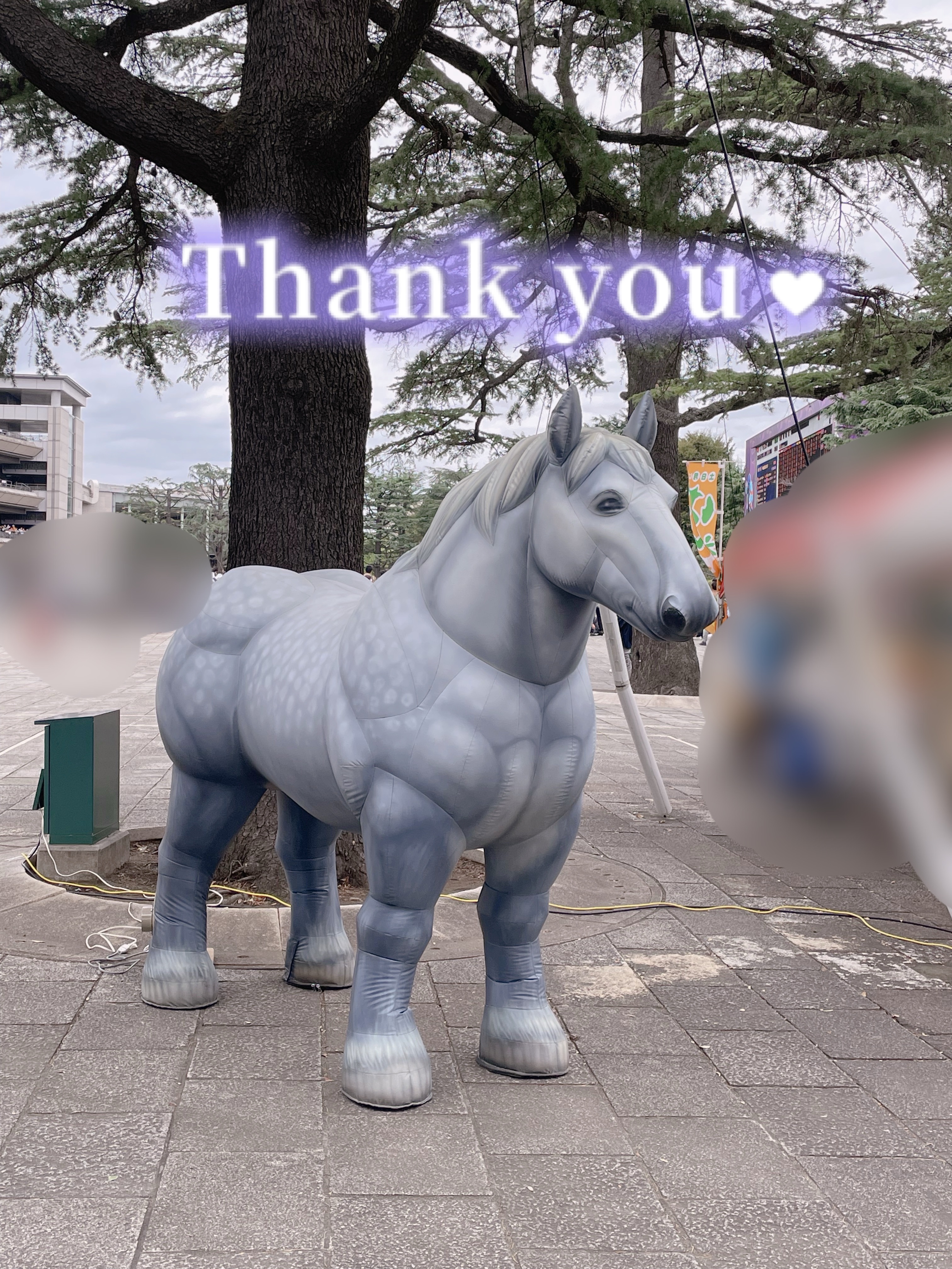 ところでこの馬ゴツない？？？？