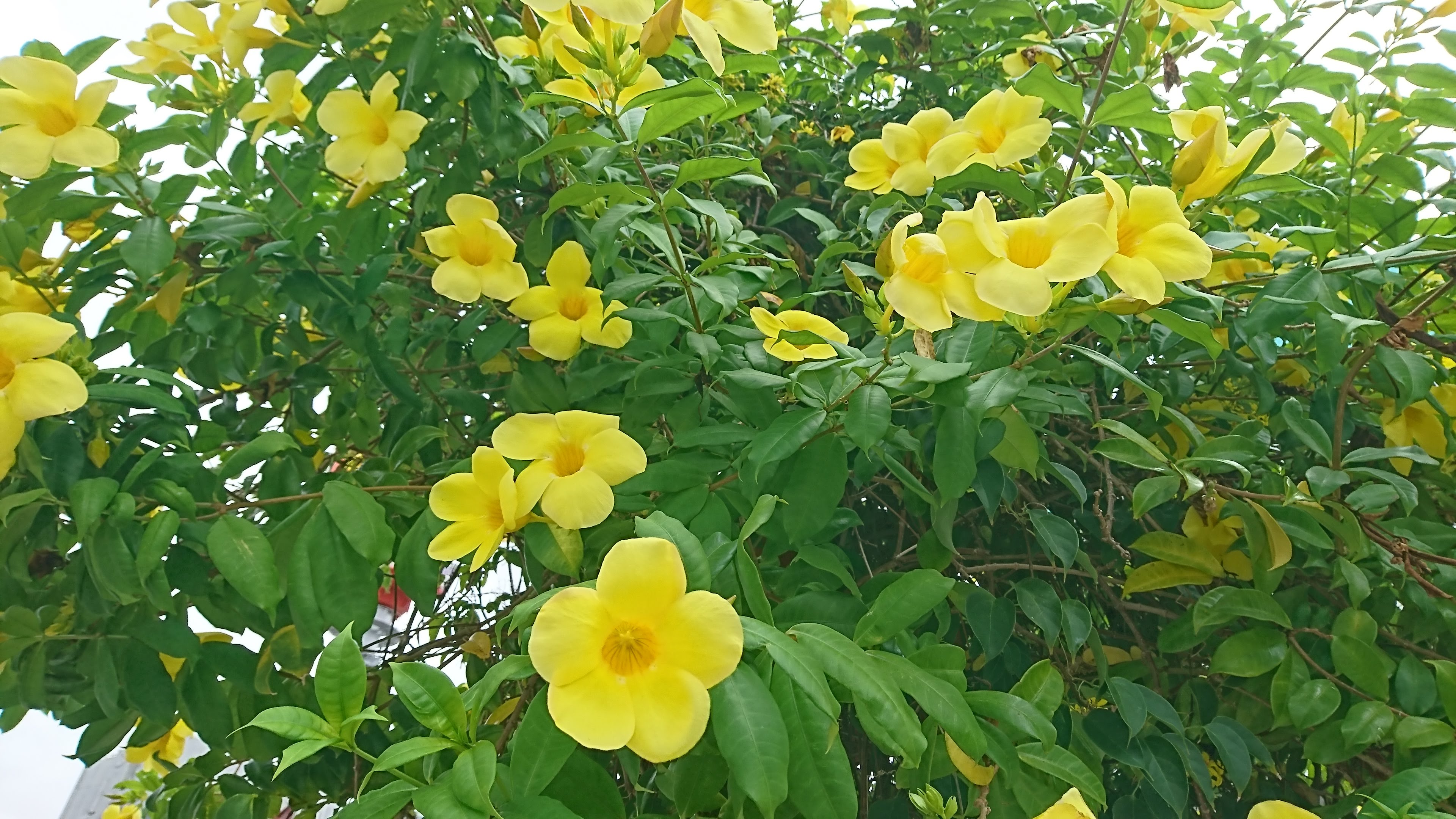 💐