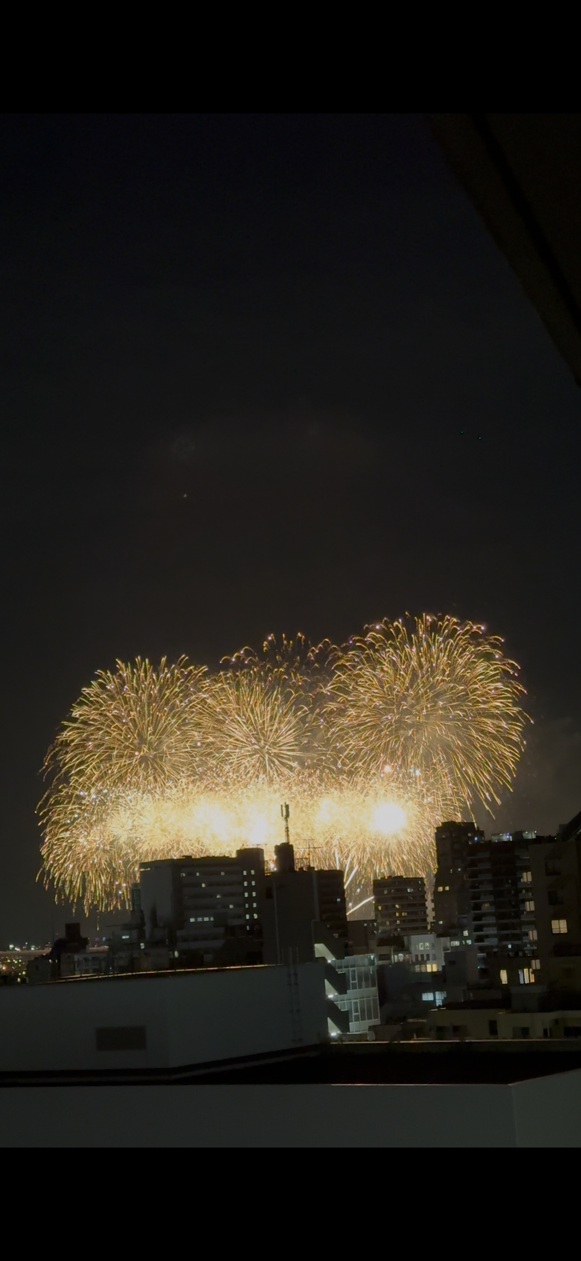 花火🎆✨