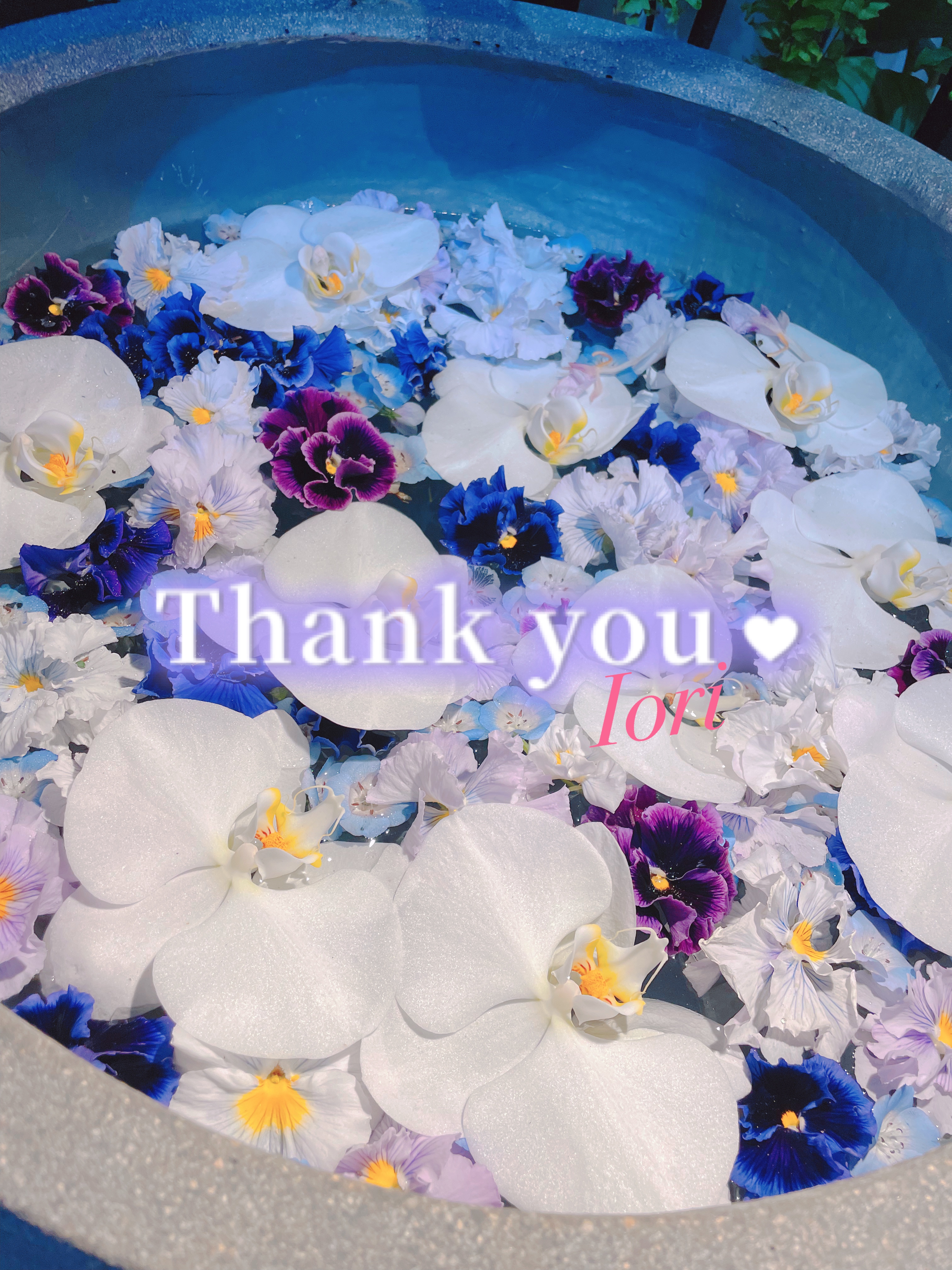 
本日もありがとうございました💝

雨風強い中会いに来てくれた皆様にとてもとても感謝です🫶🏻

雨の日はご予約状況も結構のんびりになることが多いので狙い目です🪄⌒♡｡．

次回は金曜日🌙݁𖥔.
6/5(金)11-16:30
💠南浦和ルーム💠

ご予約お問い合わせお待ちしております🧴‎◌𓈒𓐍
