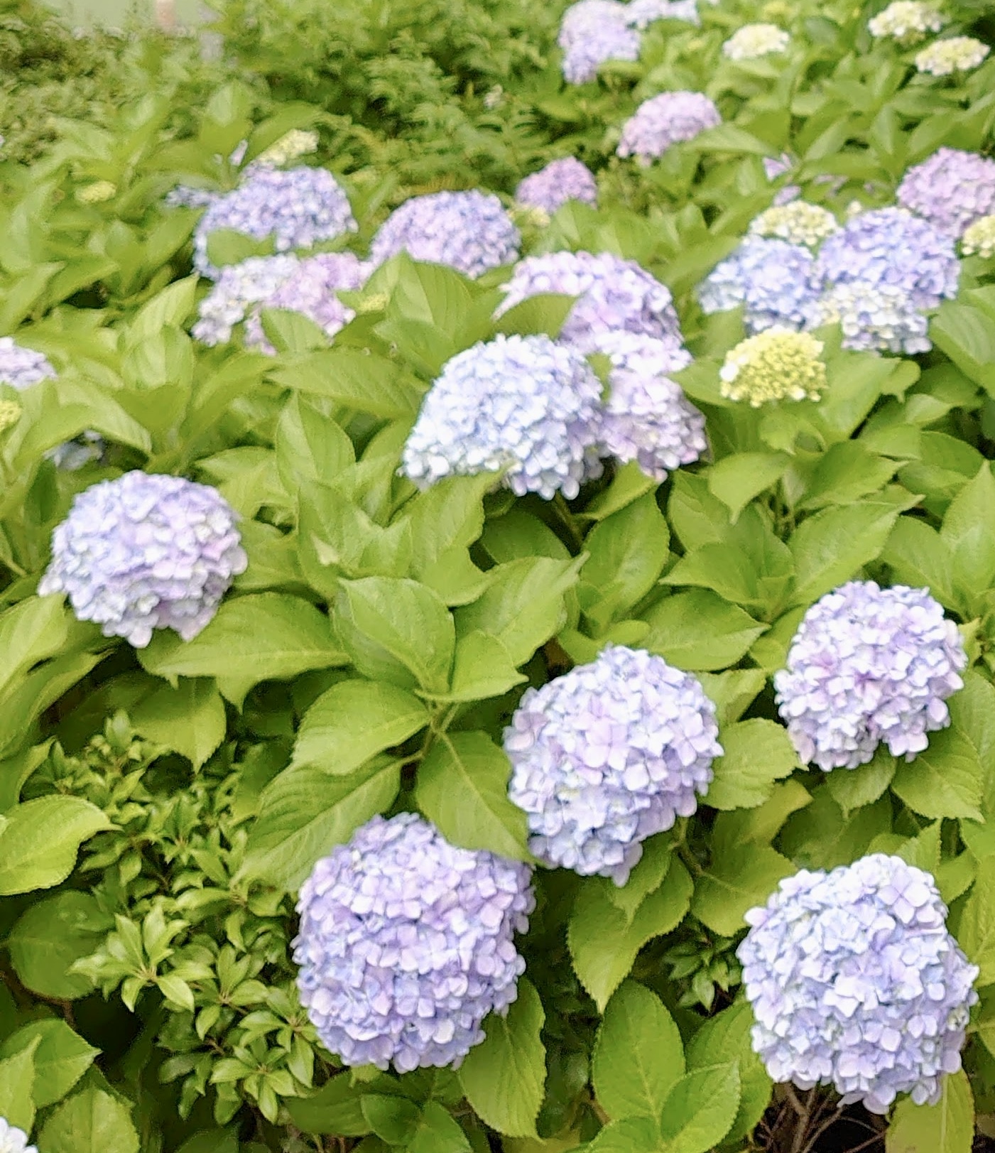 💐