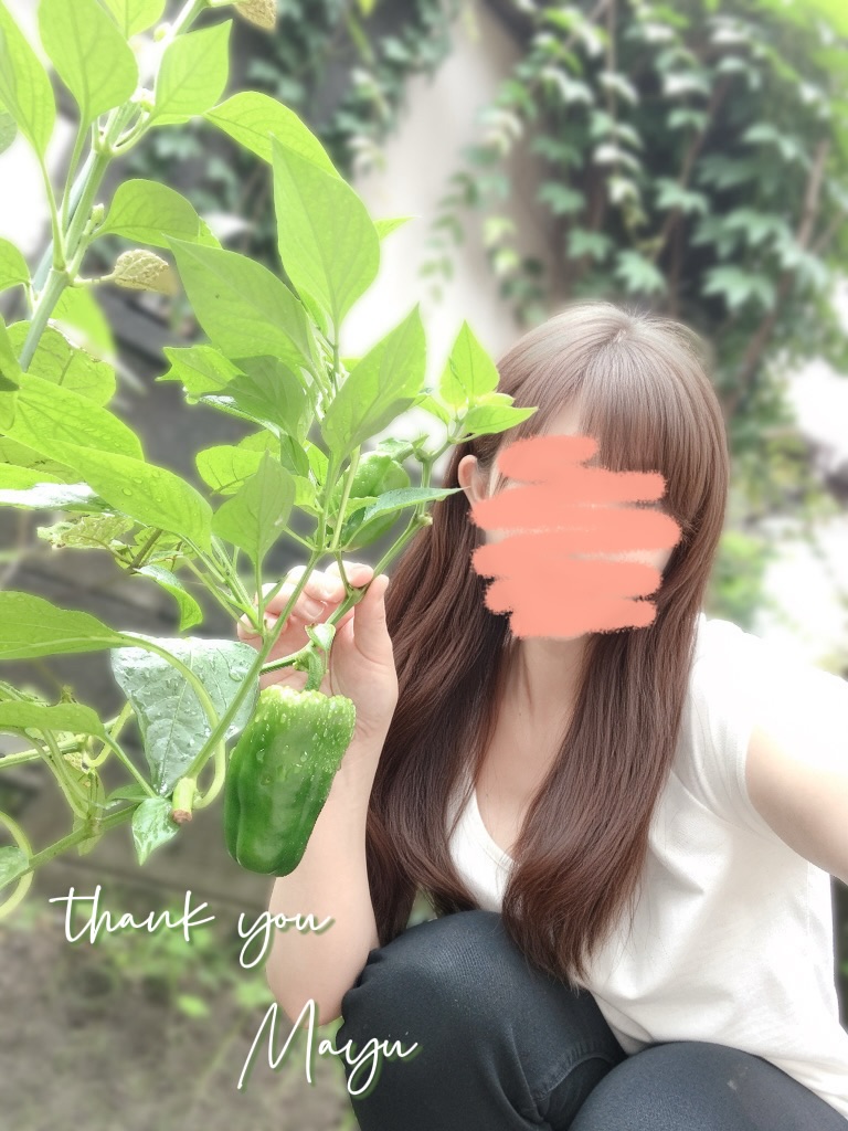 暑い中会いに来てくださりありがとうございました

暑さの中でもお仕事や毎日のことを
頑張っている皆さん

「すごいなぁ」と
あらためて尊敬の気持ちを抱いた一日でした☺️

少しでも皆さんにとって
ひと息つけるオアシスのような存在に
なれていたら嬉しいです🌿

♡感謝♡