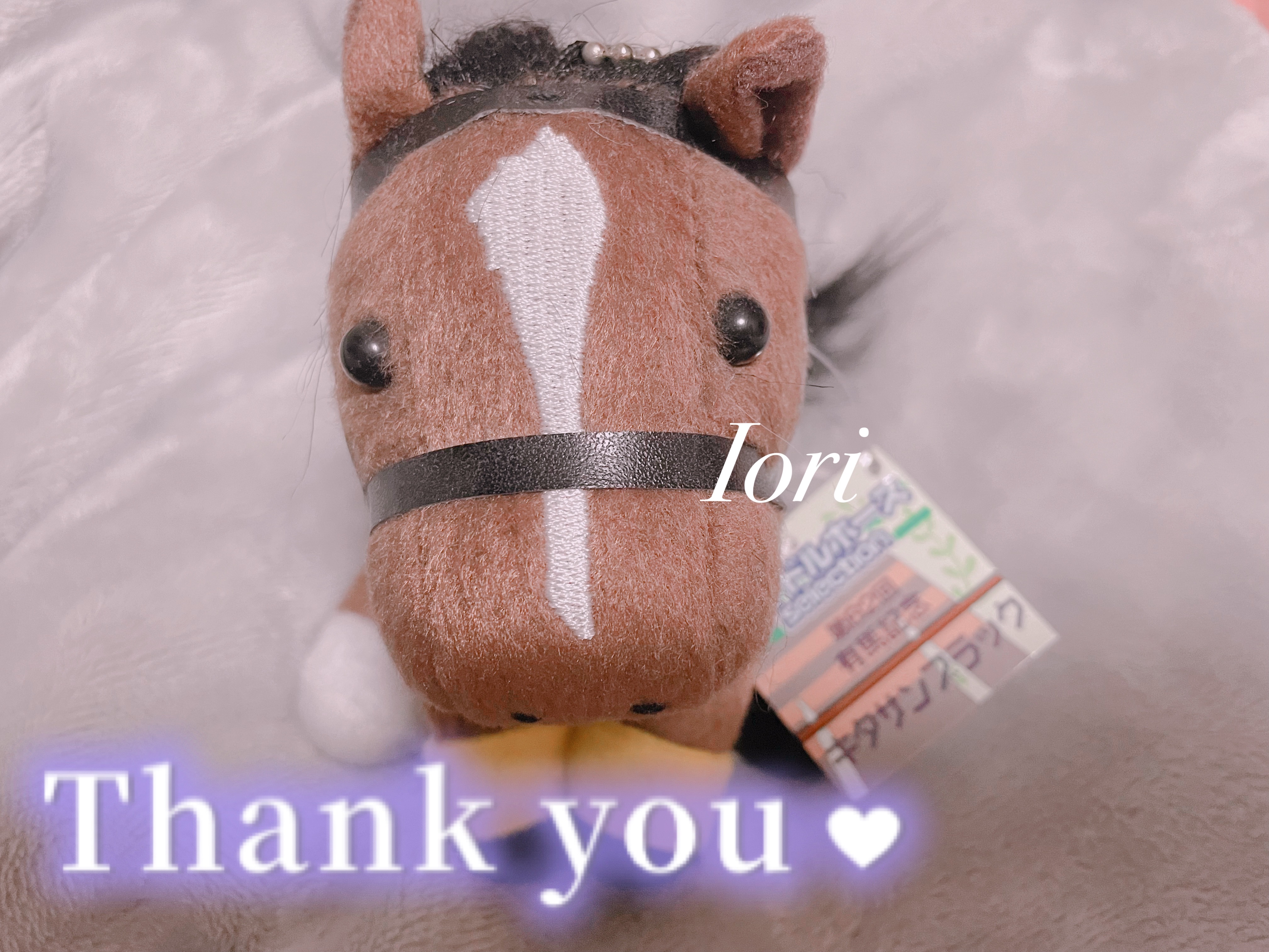 
本日もご指名ありがとうございました💘

皆様お店ご新規様で🎐🫧
これからも末永くよろしくお願いしますの気持ちでございます‪‪🫶🏻︎‪
素敵な出会いばかりで嬉しい🥰

次回は明日！
8/8(土)11-22
💠南浦和ルーム💠
どうやら浦和は明日お祭りみたい？？
明日もお待ちしております🧴‎◌𓈒𓐍
