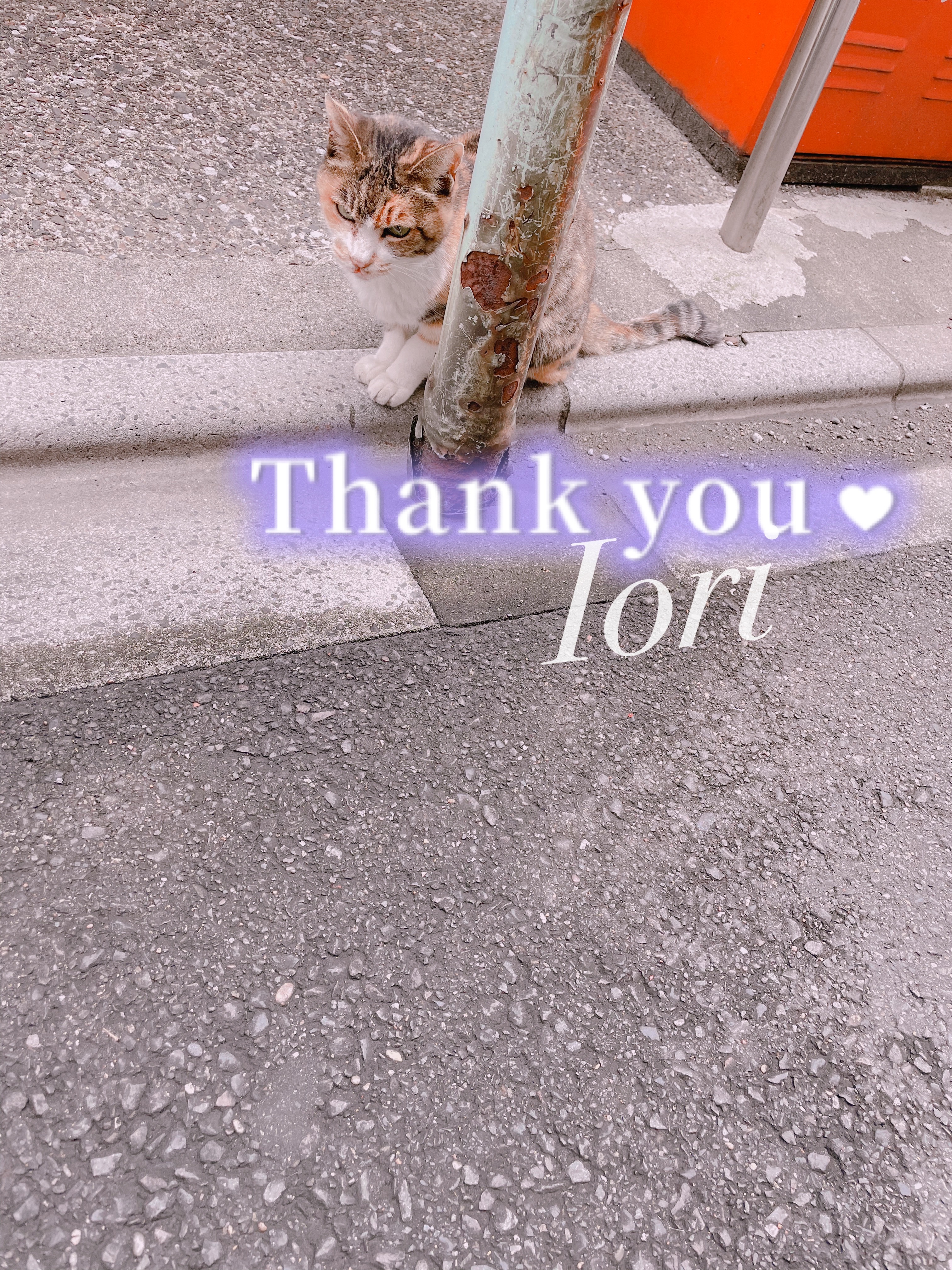 💌