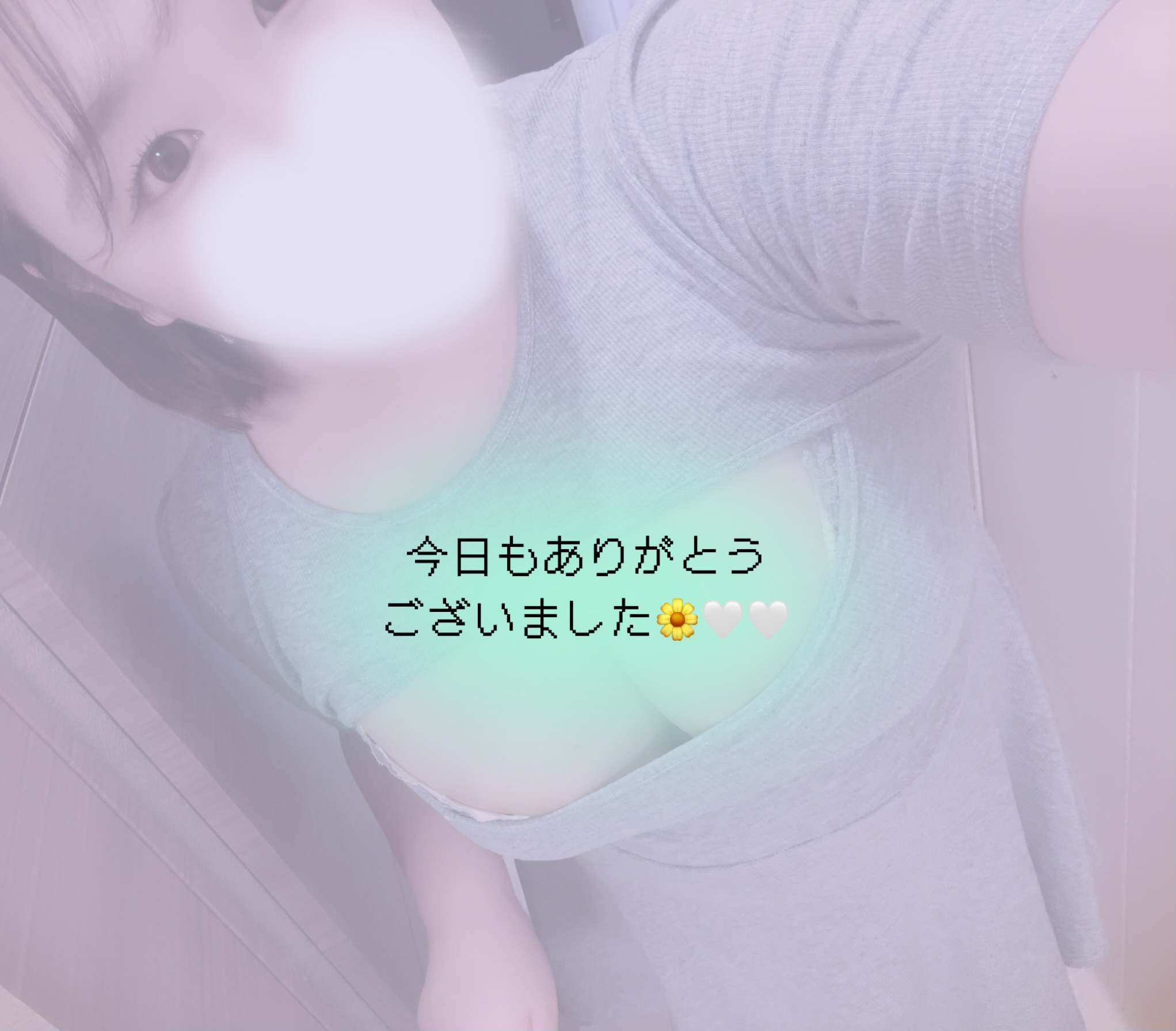 本日のお礼🌼.°