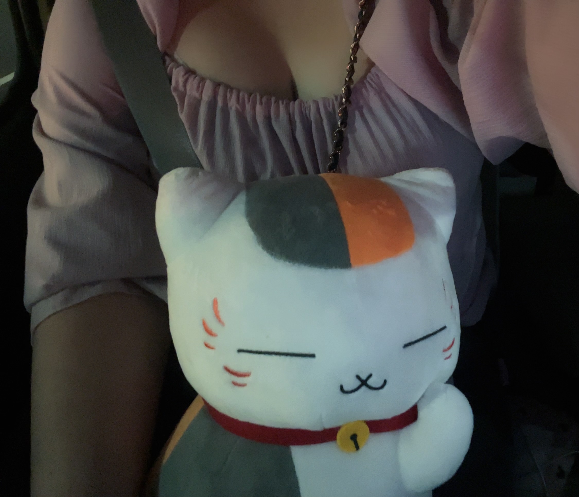こんばんは🌙
今日は久しぶりの１日休みだったので、千葉方面へドライブ🚗✨

ゲーセン行ってみたらずーっと探してたにゃんこ先生が🥺💗遅い時間に行ったのもあるけど、欲しすぎて閉店時間まで粘ってゲットできました☺️🫶🏻✨

店員さんもたくさん助けてくれて本当にありがとうございます🙇🏻‍♀️❣️

嬉しくておやすみだけど投稿しちゃいました🫶🏻見てくれてありがとう🥰