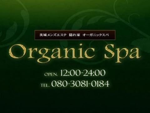 Organic Spa -オーガニックスパ- メイン画像