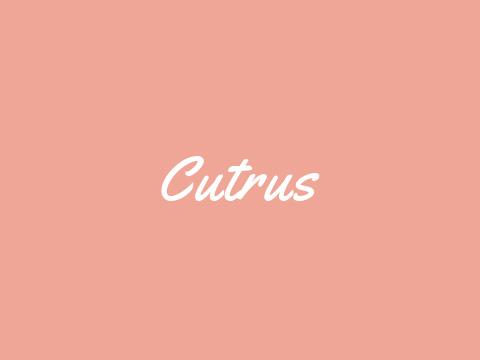 Cutrus（キュトラス）