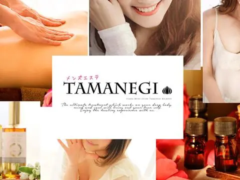 TAMANEGI(タマネギ）