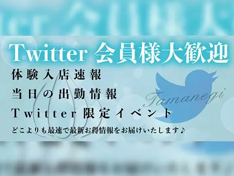 TAMANEGI(タマネギ）