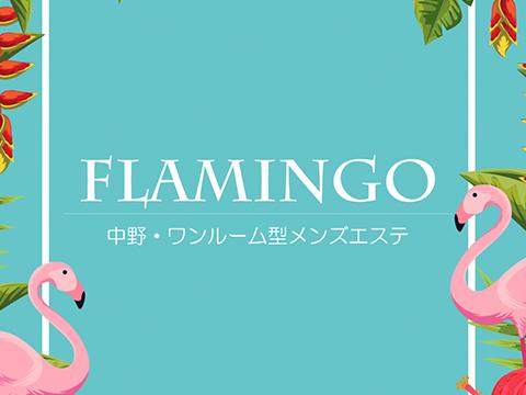 中野フラミンゴ メイン画像