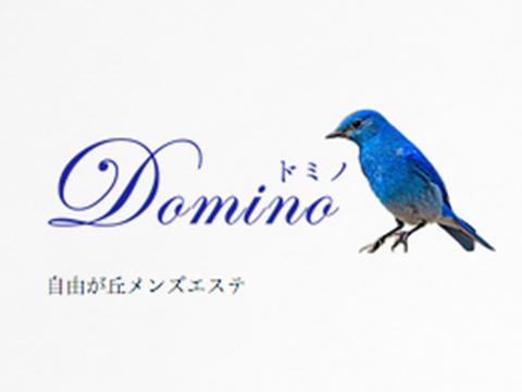 自由が丘・奥沢 のおすすめメンズエステDomino