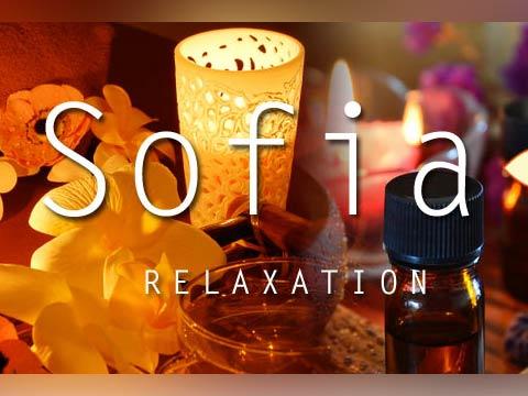 浜松町・大門メンズエステ「Sofia」