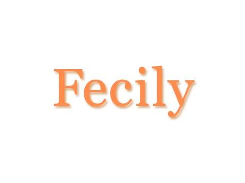 Fecily〜フェシリー 東京店