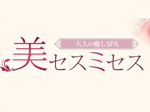 大森・蒲田メンズエステ【美セス・ミセス】