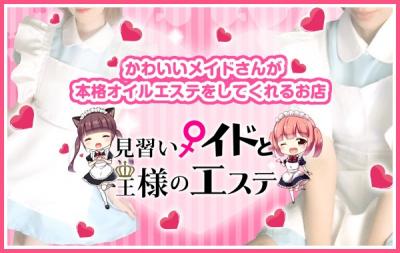 本日もお城で可愛いメイドさんがお留守番中