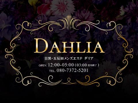 DAHLIA　目黒・五反田メンズエステ メイン画像