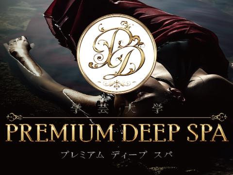 PREMIUM DEEP SPA メイン画像