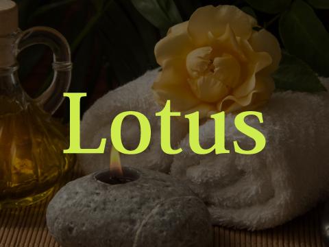 メンズエステロータス ~Lotus~のバナー画像
