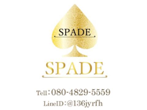 SPADE メイン画像