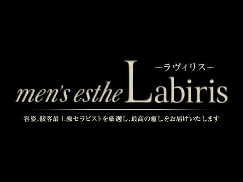 Labiris〜ラヴィリス メイン画像