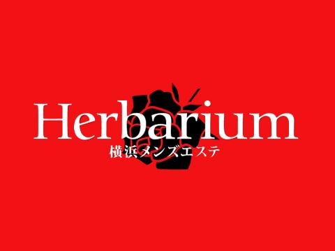 Herbarium 横浜関内店