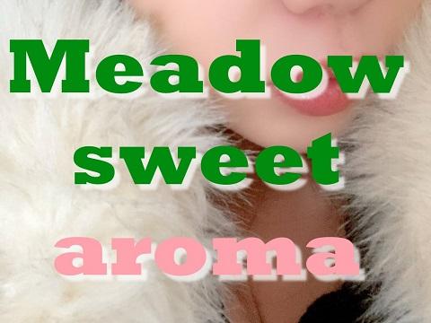 Meadow sweet aroma〜メドウスイートアロマ