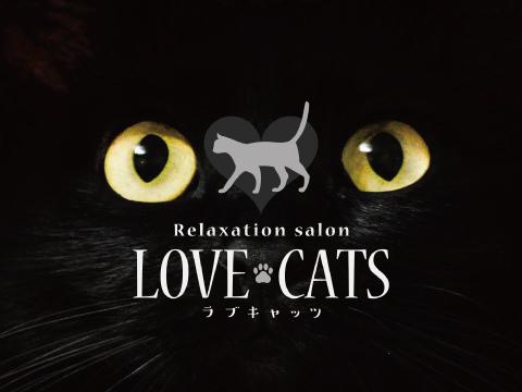 LOVE　CATS～ラブキャッツ～ メイン画像