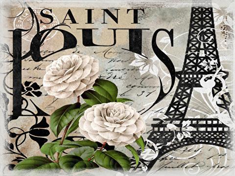 Saint-Louis～サンルイ－　横浜ルーム メイン画像