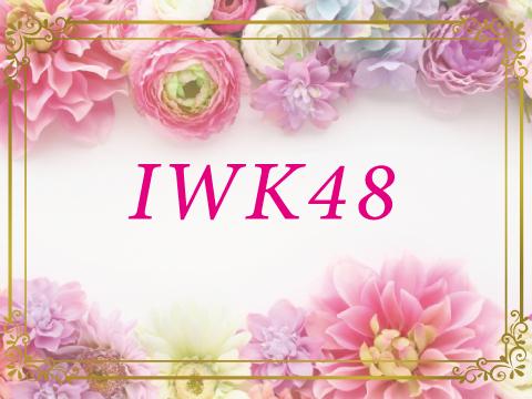 IWK48 メイン画像