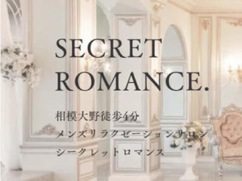 secret romance. メイン画像