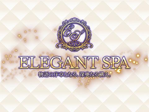 ELEGANTSPA(エレガントスパ) メイン画像