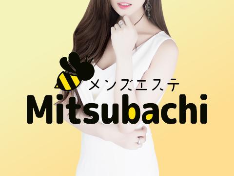 Mitsubachi　ミツバチ