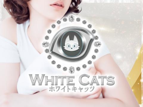 WhiteCats　-ホワイトキャッツ-