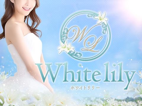 WhiteLily　ホワイトリリー メイン画像