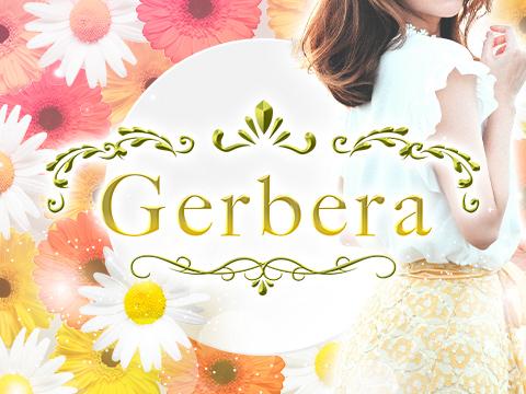 Gerbera メイン画像