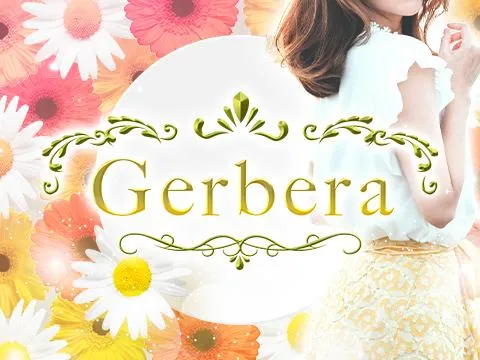 Gerbera