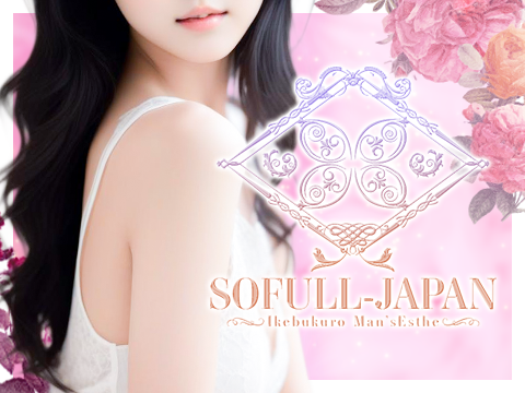 SOFULL-JAPAN メイン画像