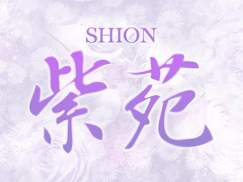 紫苑(しおん) メイン画像