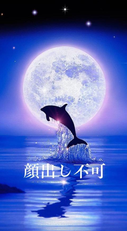 ここ(35)