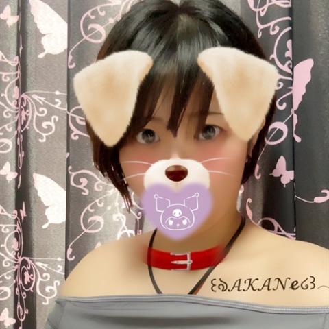 如月あかね(25)