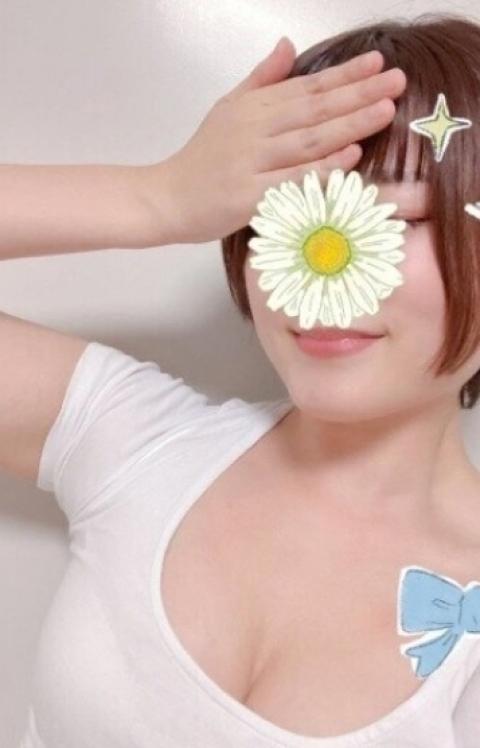 蓬（よもぎ）(28)