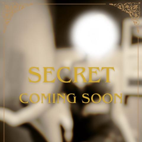 secret(29)